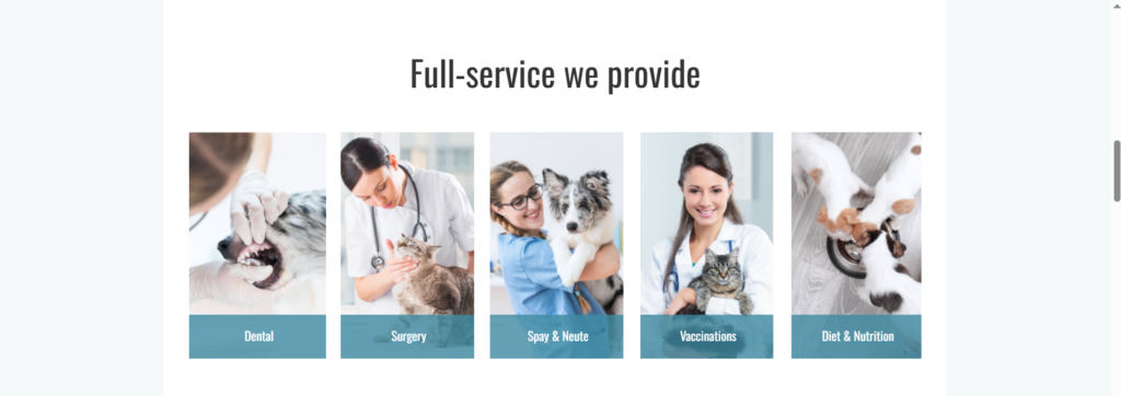 Розділ ветеринарних послуг у шаблоні PetsLife: стоматологія, хірургія, вакцинація та поради з харчування для домашніх улюбленців.