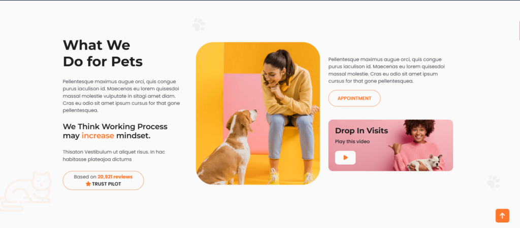 Розділ про робочий процес ветеринарів на сайті Pet Haven: дівчина спілкується з собакою породи бігль.