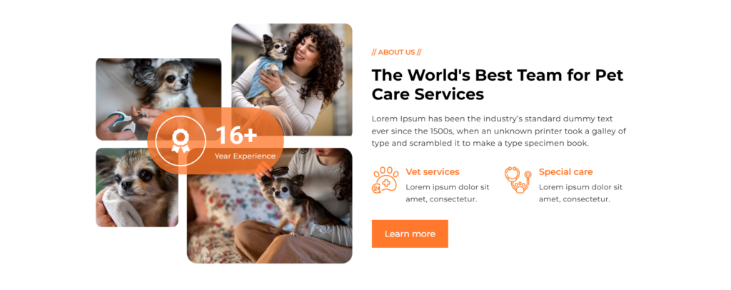 Презентація команди та досвіду роботи у шаблоні Petclub. Сучасний шаблон WordPress для послуг з догляду за домашніми тваринами.